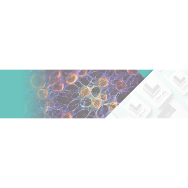 LifeLab Supplements' NMN: The Key to Bryan Johnson Enhanced Well-Being