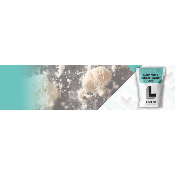 Lions Mane Banner