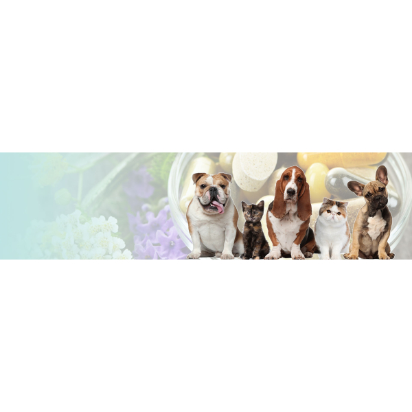 Supplement for Pets: Complete Guide of Natural Supplement For Happy & Healthy Pets.