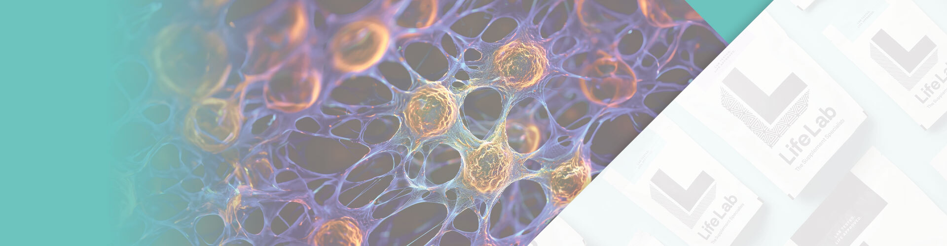 LifeLab Supplements' NMN: The Key to Bryan Johnson Enhanced Well-Being 